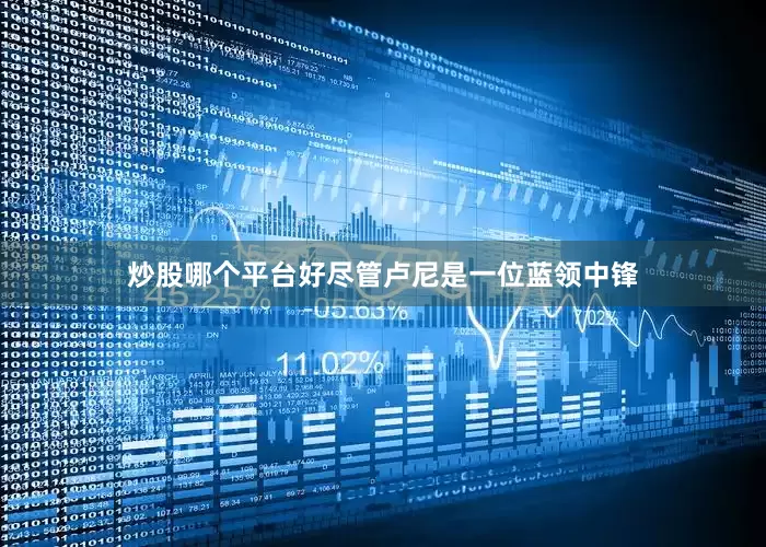炒股哪个平台好尽管卢尼是一位蓝领中锋