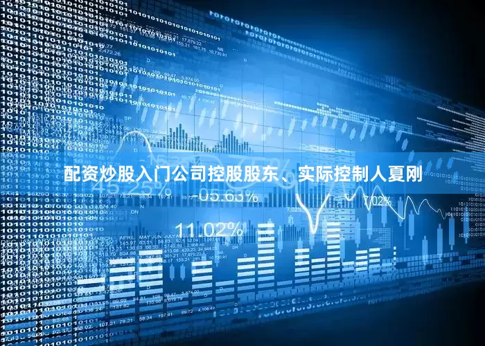 配资炒股入门公司控股股东、实际控制人夏刚
