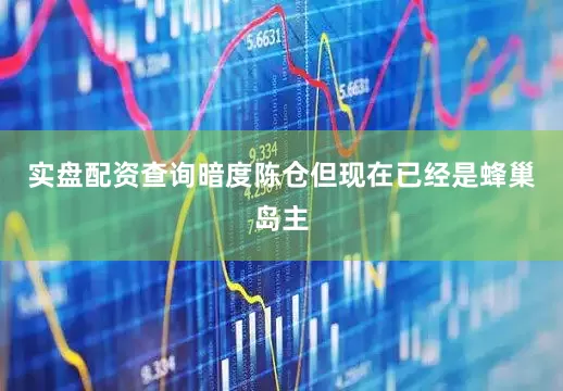 实盘配资查询暗度陈仓但现在已经是蜂巢岛主