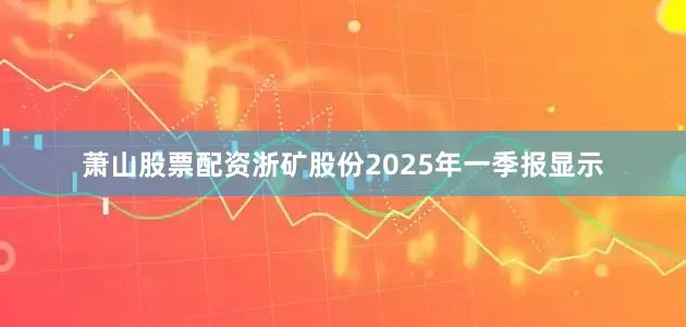 萧山股票配资浙矿股份2025年一季报显示